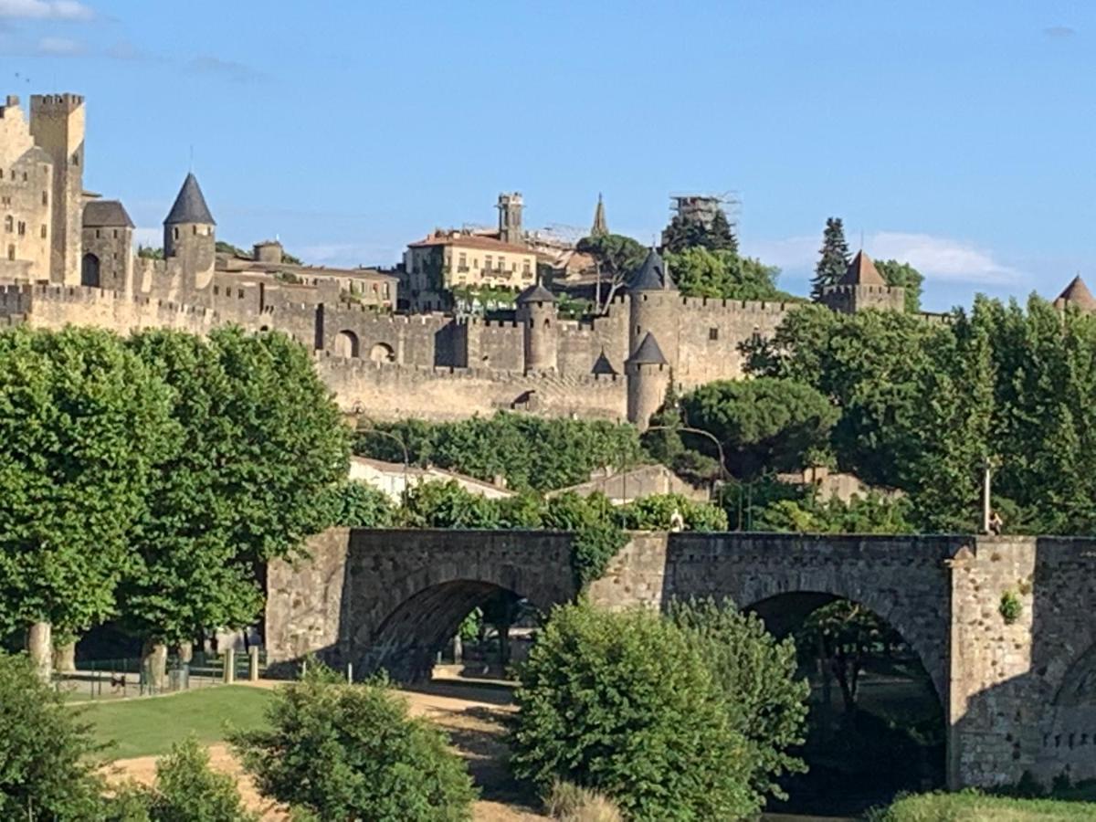 C'Est Une Maison Bleue Carcassonne Bagian luar foto